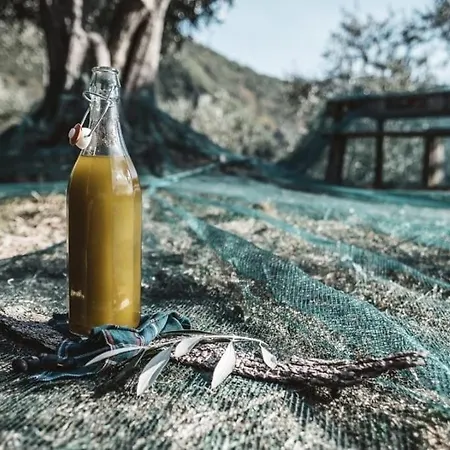 La Taverna Tra Gli Ulivi Nyaraló