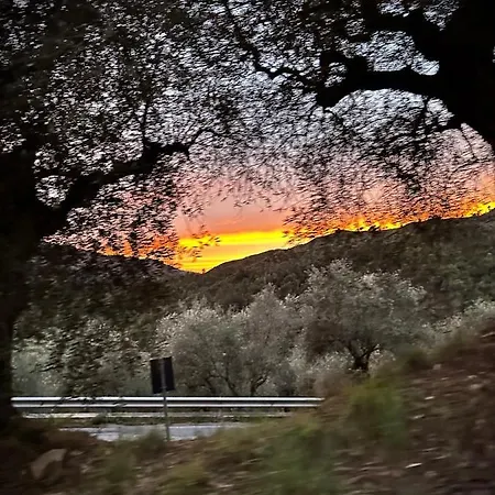 La Taverna Tra Gli Ulivi Perinaldo