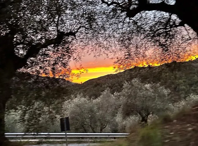 La Taverna Tra Gli Ulivi Perinaldo